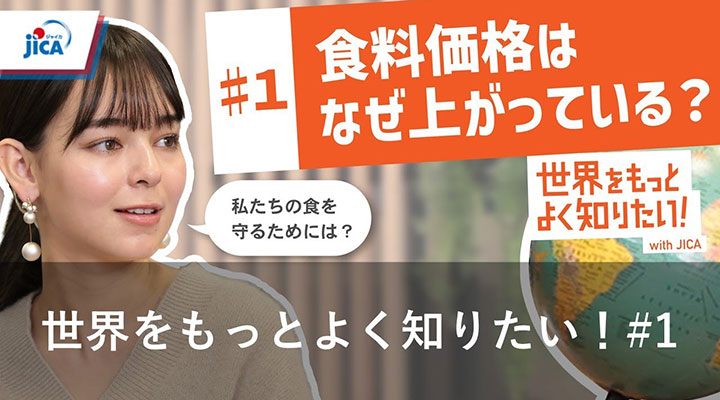 【アフリカ・農業】食料価格高騰の３要因とは？ 世界をもっとよく知りたい！#1